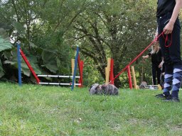 IMG_1308_web